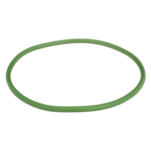 Delphi® FA10029 Fuel Pump Tank Seal