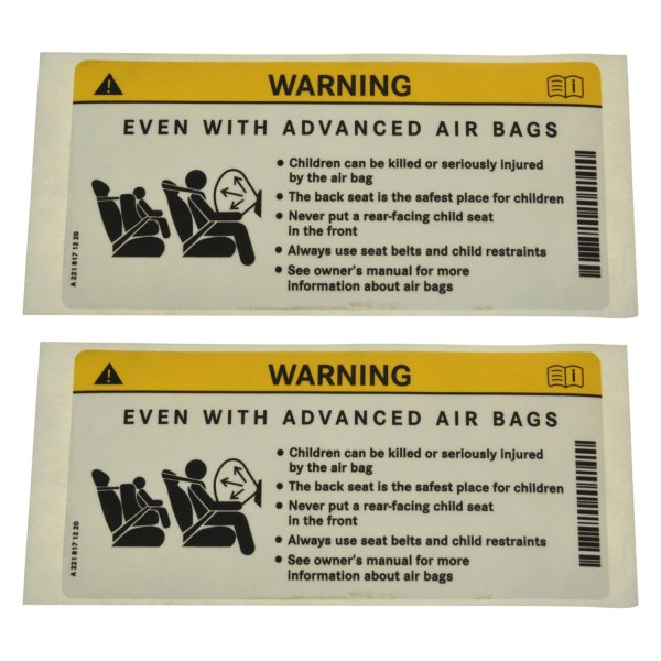DIY Solutions® Air Bag Information Label