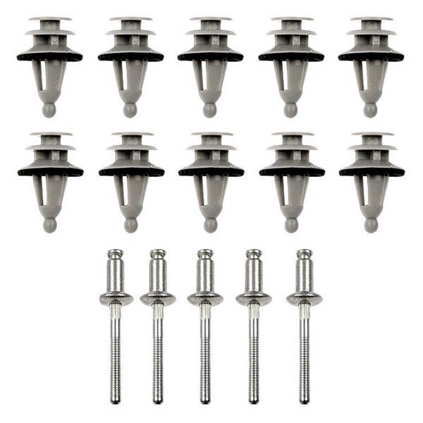 Dorman® 702005 AutoGrade™ Front Door Panel Install Kit