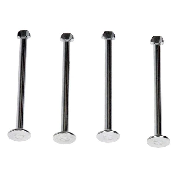 Dorman® HW1102 Rear Drum Brake Shoe Spring Hold Down Pins