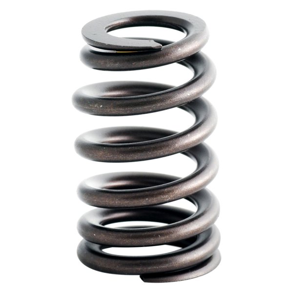 Jeep Liberty 3.7L 2004 Valve Springs