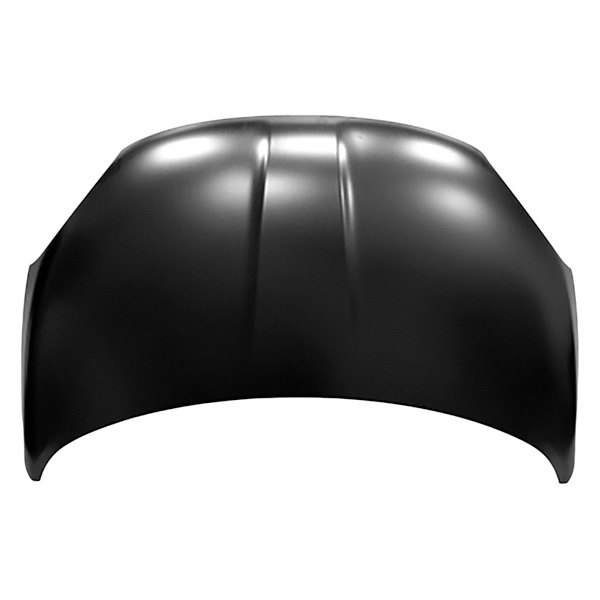 Replace® FI1230102 Hood Panel (Standard Line)