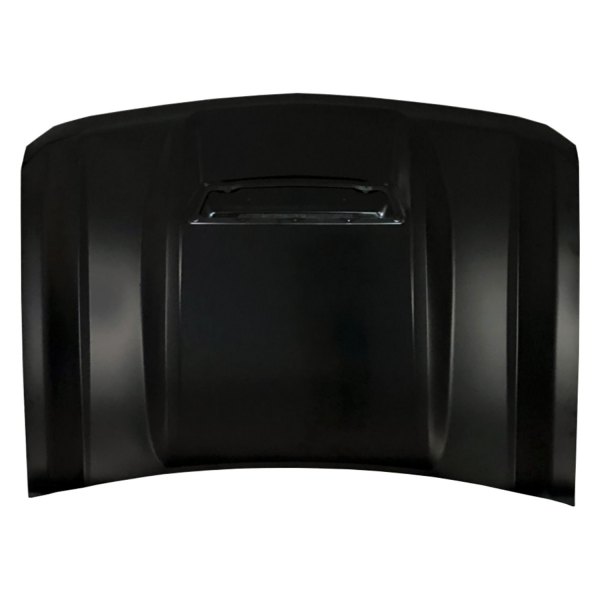 Replace® GM1230469C Hood Panel