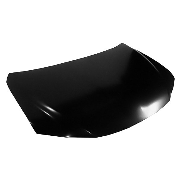 Replace® LX1230120OE Hood Panel