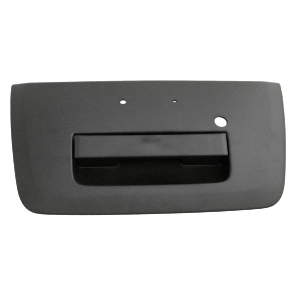 Replace® NI1915109 Tailgate Handle (Standard Line)