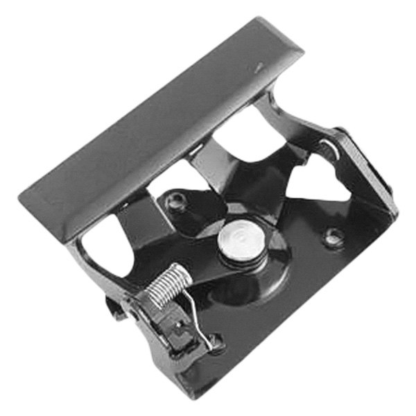Replace® GM1915101 Tailgate Handle (Standard Line)