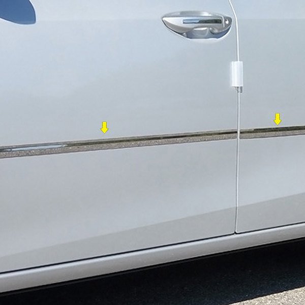 SAA® AT14112 IType Polished Body Side Moldings