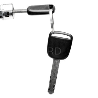 Honda Civic Replacement Trunks & Tailgates | CARiD