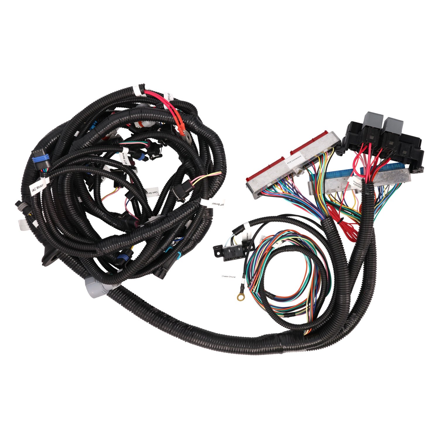 TSP® WH1201 DrivebyCable LS1 Standalone Wiring Harness Plug and