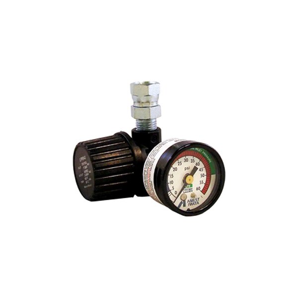 ASET IWATA® 8131B 0 to 60 psi AK1R2 Air Regulator