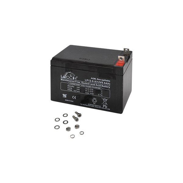 Generac® 0G9449 12V 10Ah Generator Replacement Battery