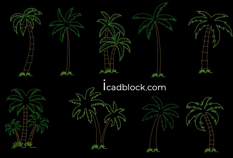 Palm Trees in AutoCAD , Elevation view iCADBLOCK