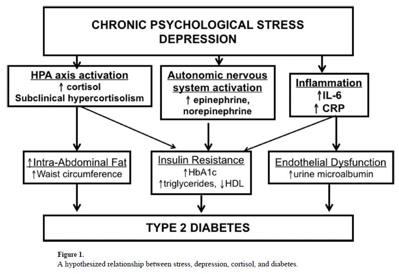 Cortisol dysregulation the bidirectional link between stress