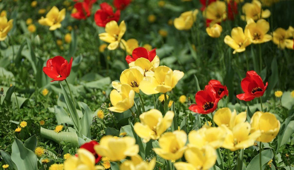 Les saisons dates de l'hiver, du printemps, de l'été et de l'automne
