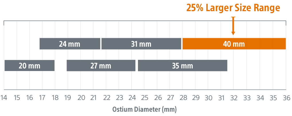 Structural Interventions | Interventional CardioHub