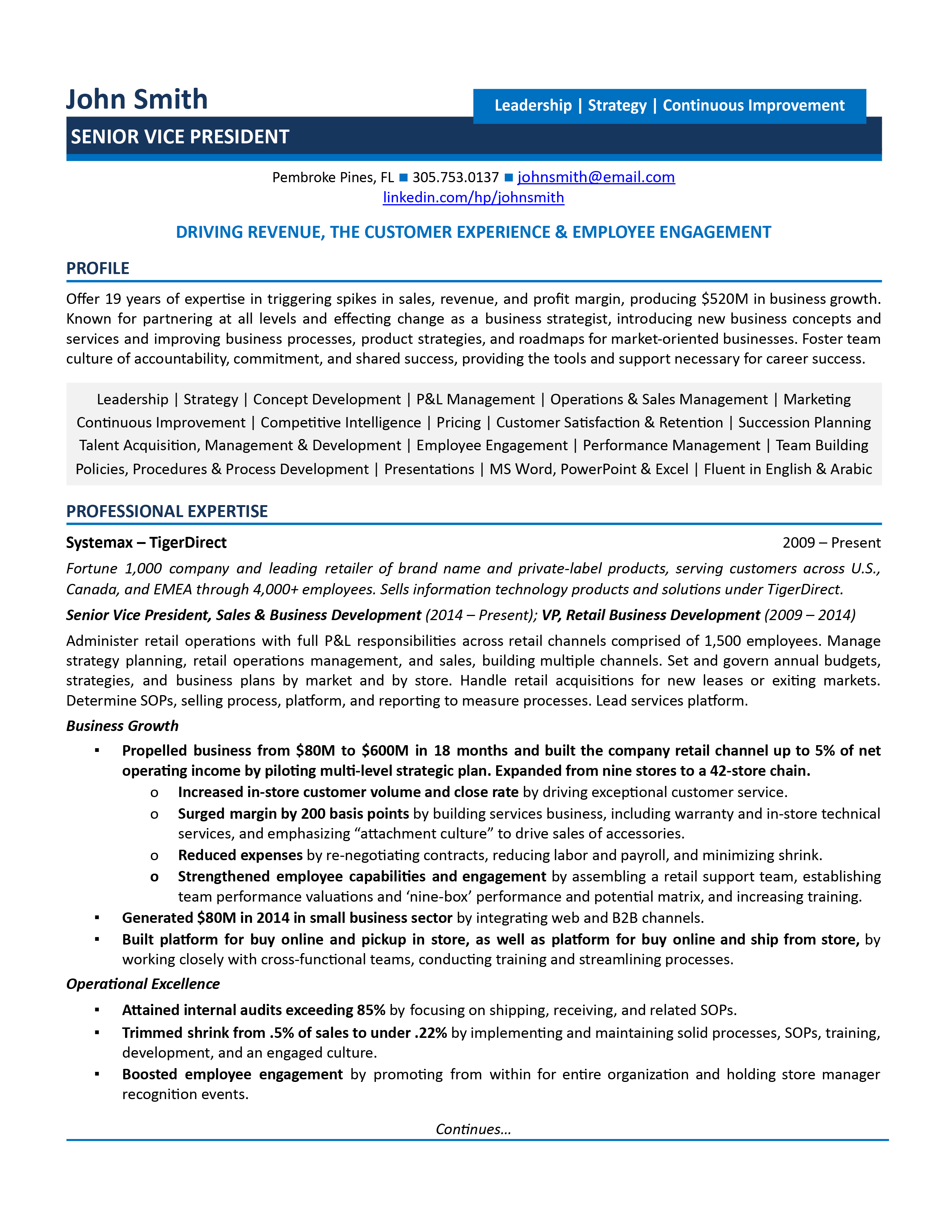 Best Vice President (VP) Resume Samples For 2024