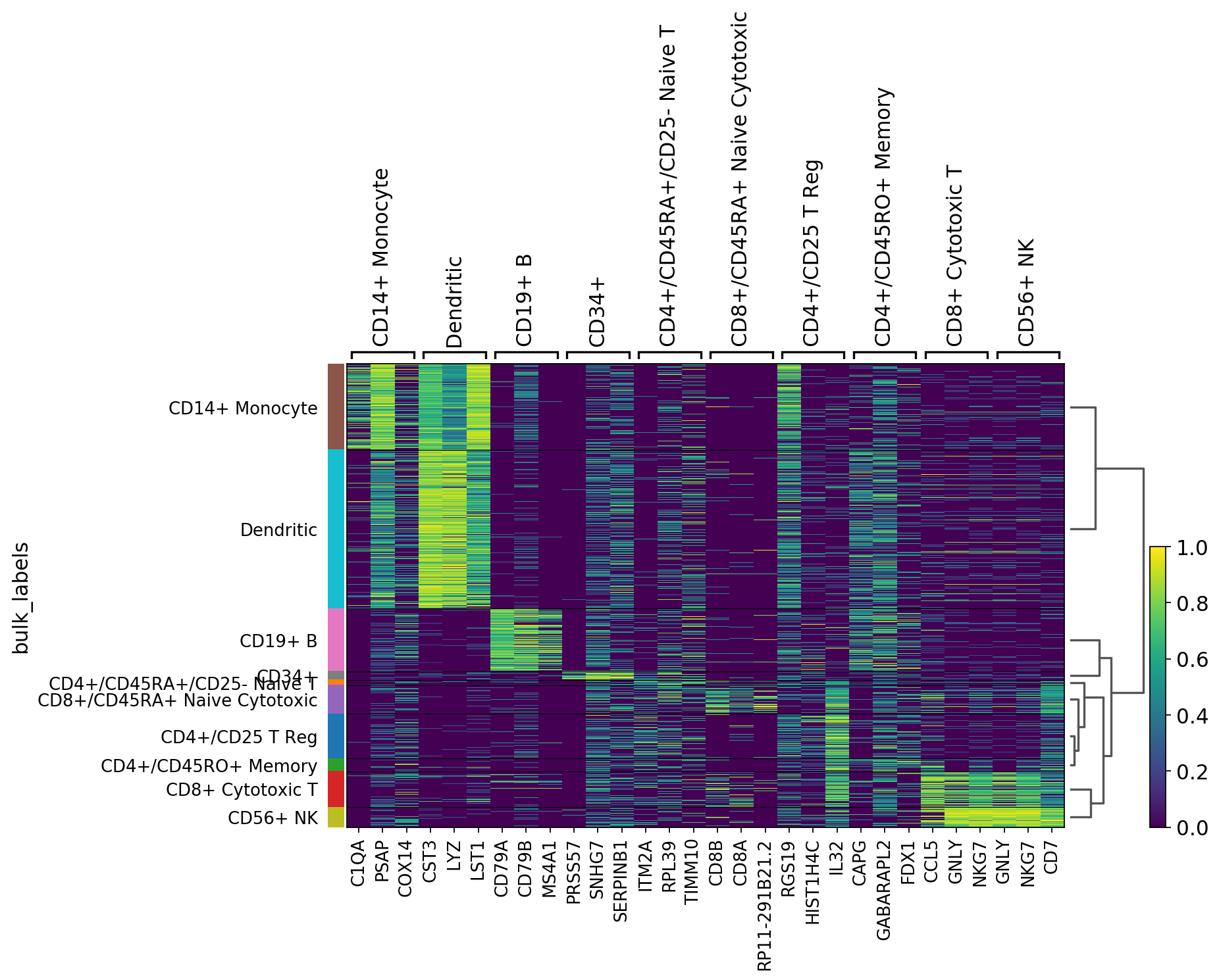 Visualizing marker genes — Scanpy documentation