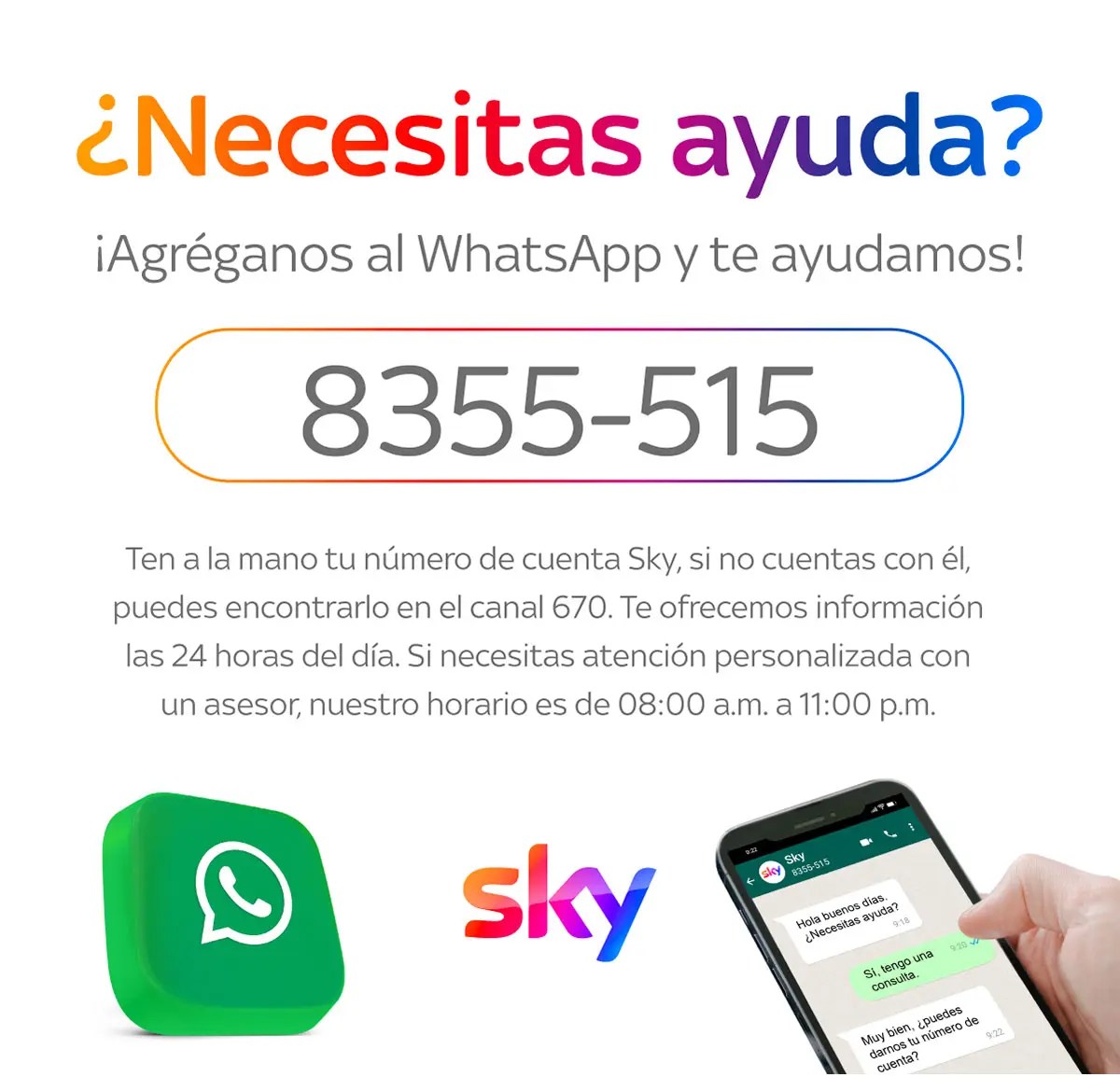Número Inteligente Sky: Optimiza La Atención Al Cliente | ICCSI