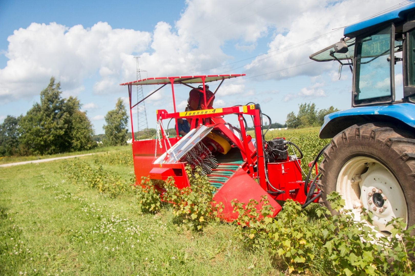 100 Years of the Estonian Economy ICDS