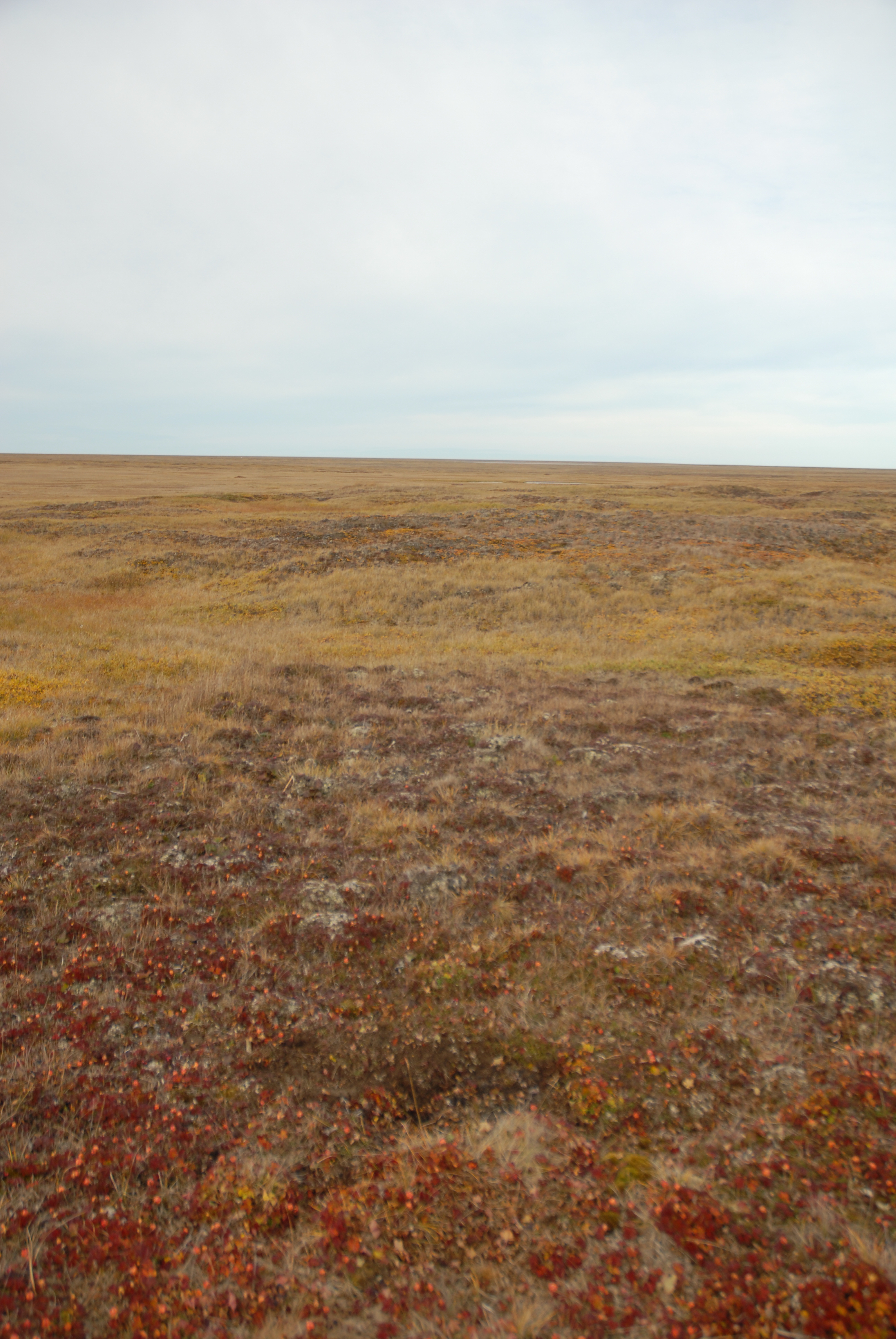 Point Hope Out of Ice and Time