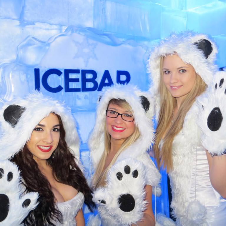 Photo Gallery ICEBAR Orlando
