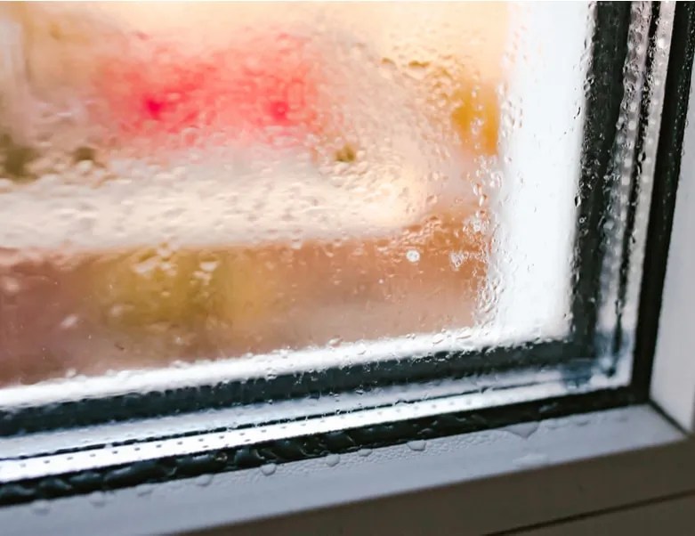 5 Easy Ways To Reduce Humidity At Home Ice Blast