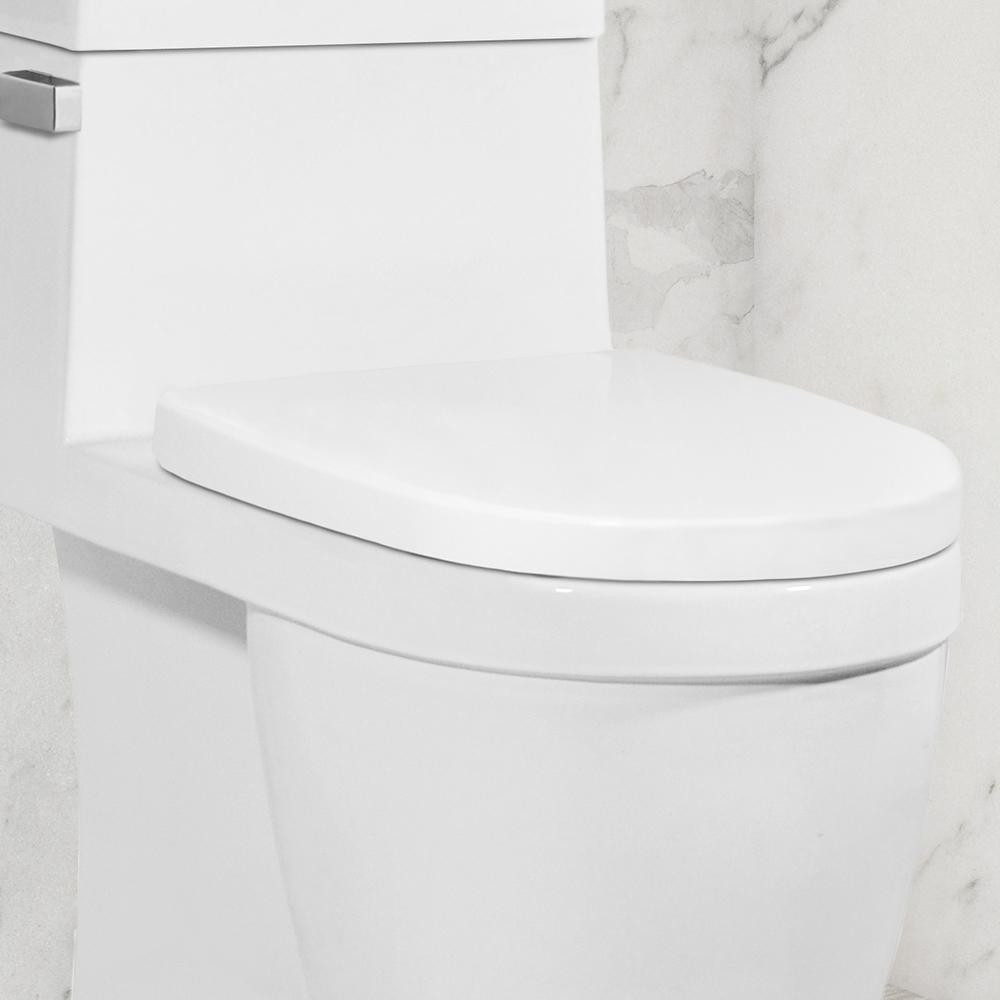 Icera Toilet Seat Replacement Parts Reviewmotors.co