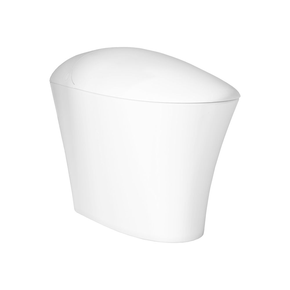 iWASH CS22 Bidet Toilet ICERA