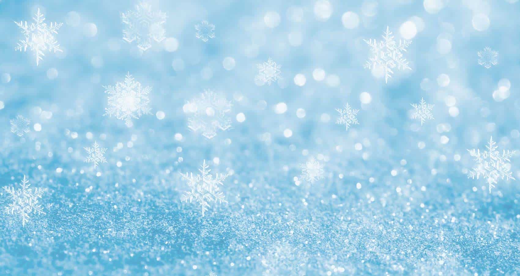 to ICE ZOO, Sydney's home of ice skating!