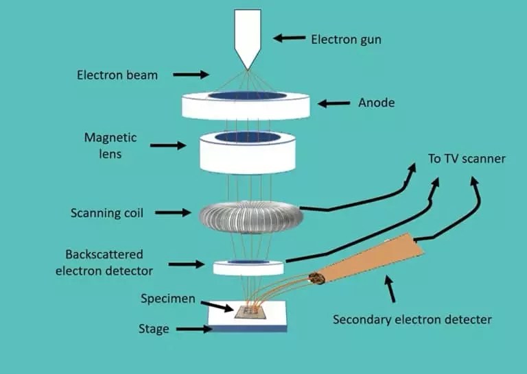 The Best Electron Microscope Services (SEM) FA Lab