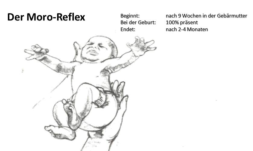Der MoroReflex oder Klammerreflex beim Baby Ich bin Mutter
