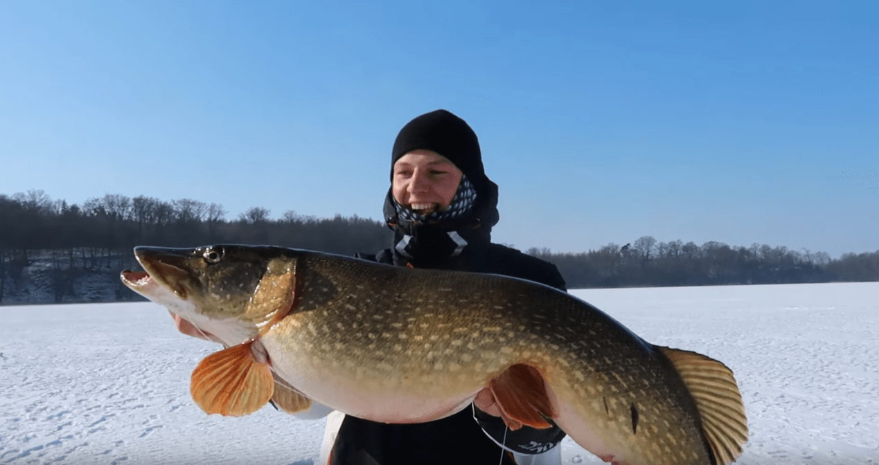 SchleswigHolstein Fischereischein Jetzt online machen! (Geldzurück