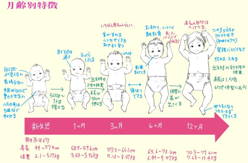 赤ちゃんの体の描き方と「らしく」見えるポイントとは？ 赤ちゃんの描き方講座 後編 いちあっぷ