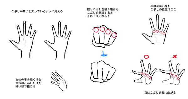 手や指のイラストの描き方講座。構造理解のコツ・描き分け参考資料も！ ｜お絵かき講座パルミー ４つの膨らみ」と「消失点」を押さえれば自由自在！手の描き方のキホン | いちあっぷ