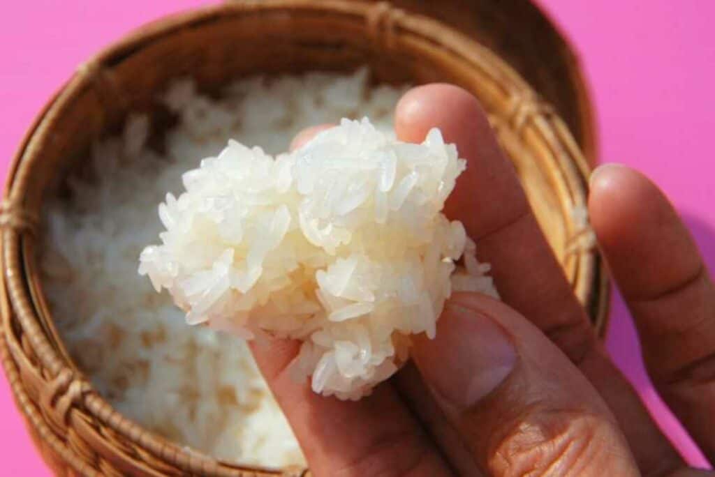 Sticky Rice vs. Sushi Rice Similarities & Differences