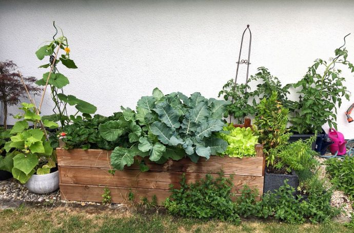 Ich seh grün • Ein Gartenblog Tipps und Tricks rund um den heimischen Garten