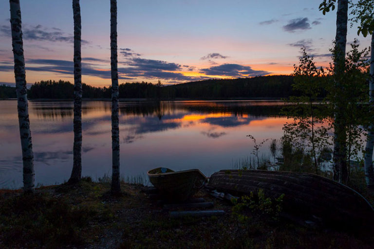 oakton community college fall 2023 Professional Development ICISP