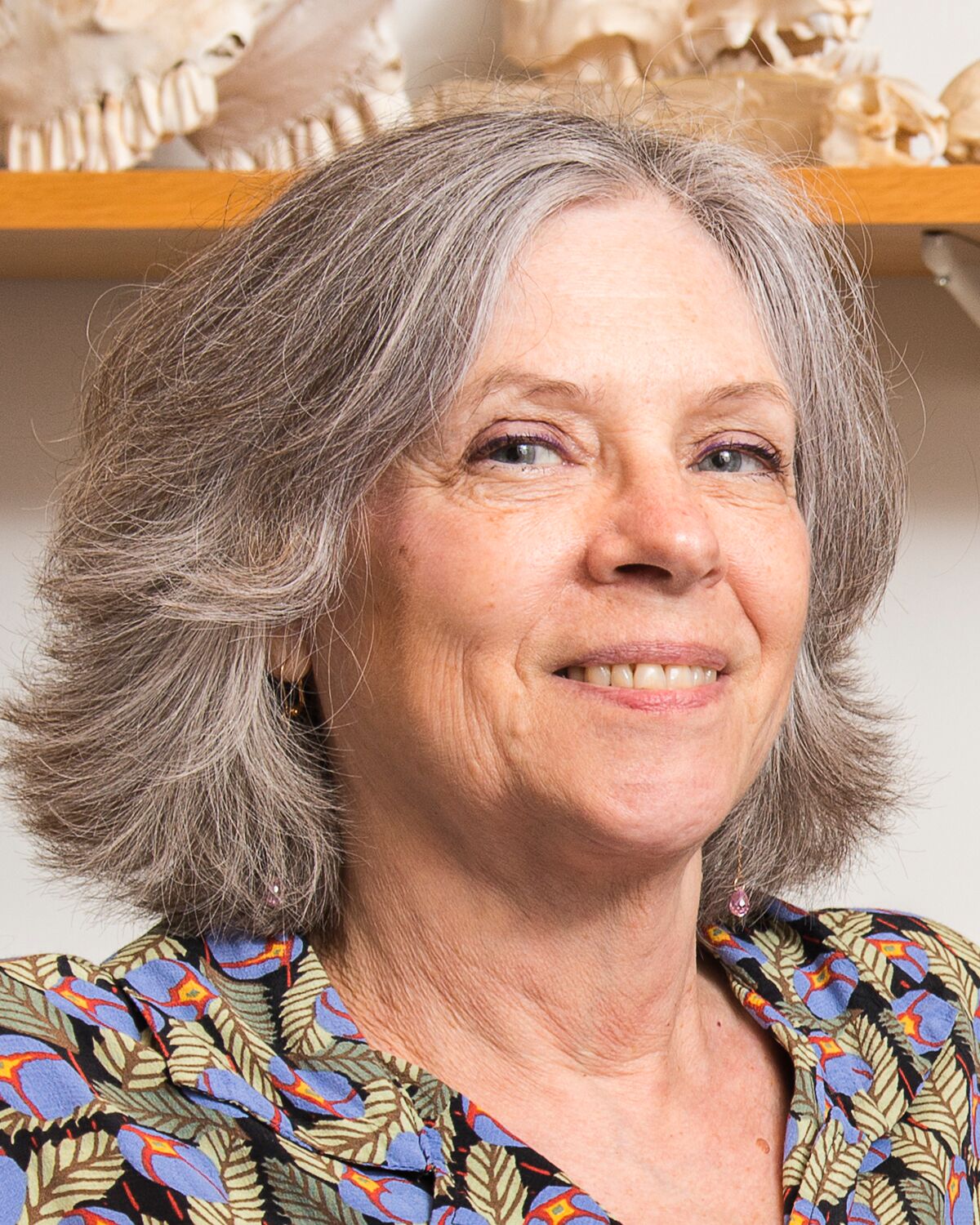 Speakers Generalization beyond the training distribution in brains and machines