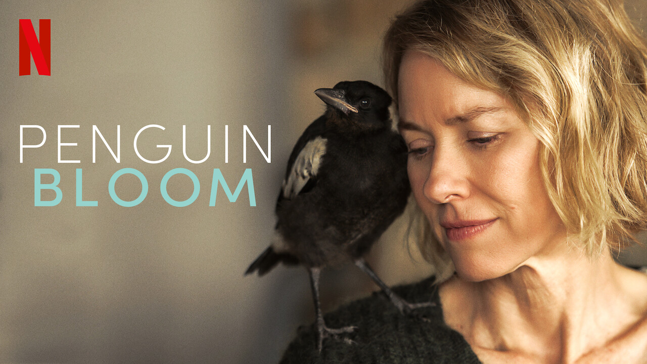 Penguin Bloom (2020) ICMGLT