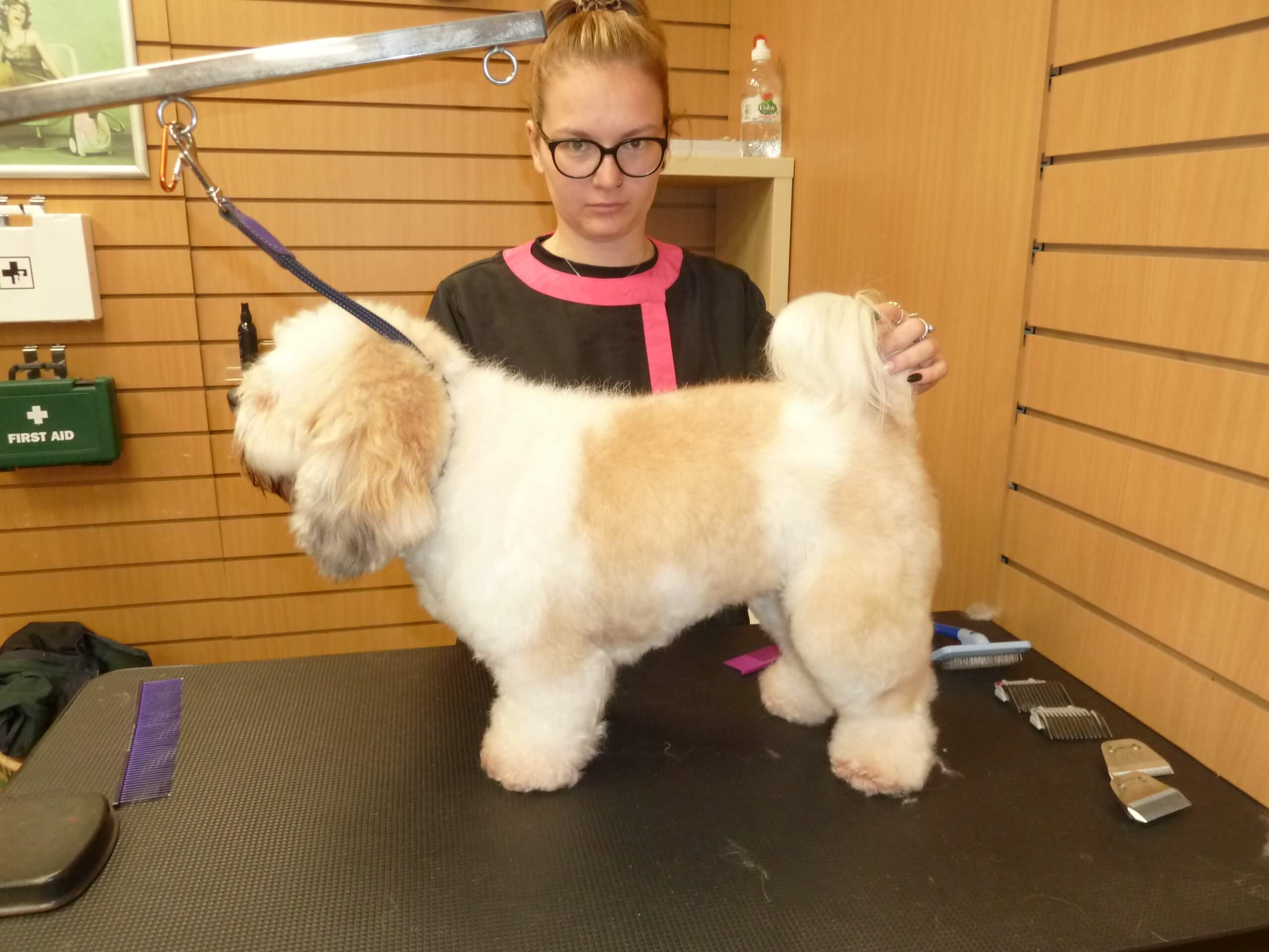 QUALIFICATIONS INTERNATIONAL CERTIFIED MASTER GROOMER (ICMG)