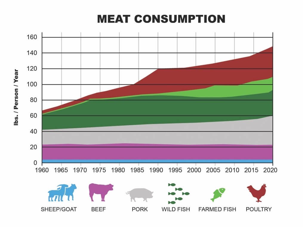 The Importance of Diversified Feed Products in the Ethanol Industry