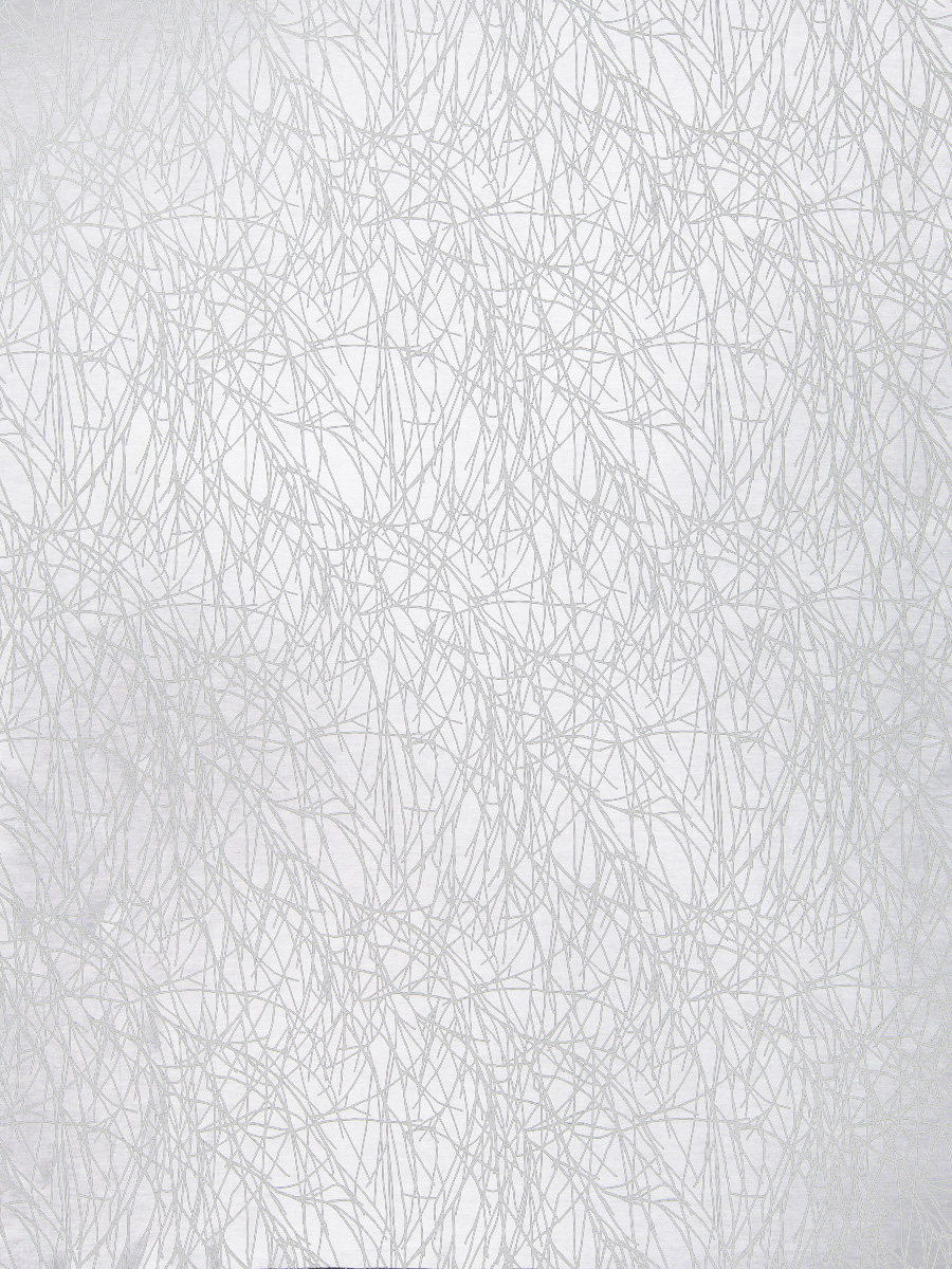 Roland White Icon Design