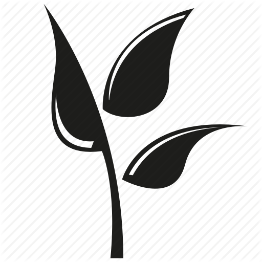 Leaf,Blackandwhite,Logo,Botany,Plant,Flower,Tree,Font,Graphics,Tulip