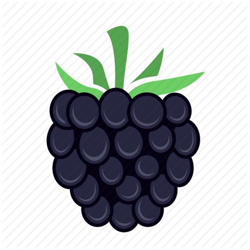 Blackberry Icon Png