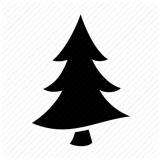 Christmas tree,White pine,Tree,oregon pine,Colorado spruce,Christmas