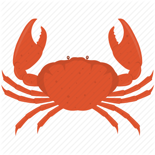 Crab,Rock crab,Cancridae,Dungeness crab,King crab,Freshwater crab
