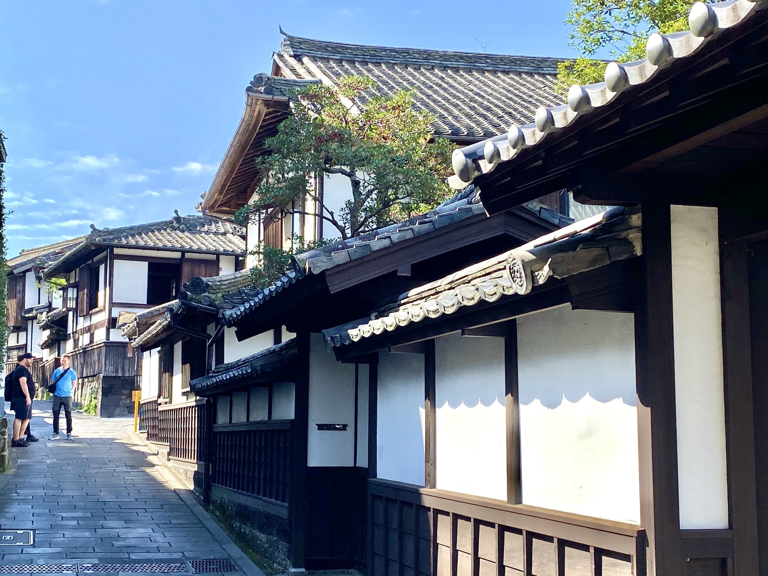 Kyushu, Japan Hiking & Cultural Tour 16 26 March 2024 Icon Adventures