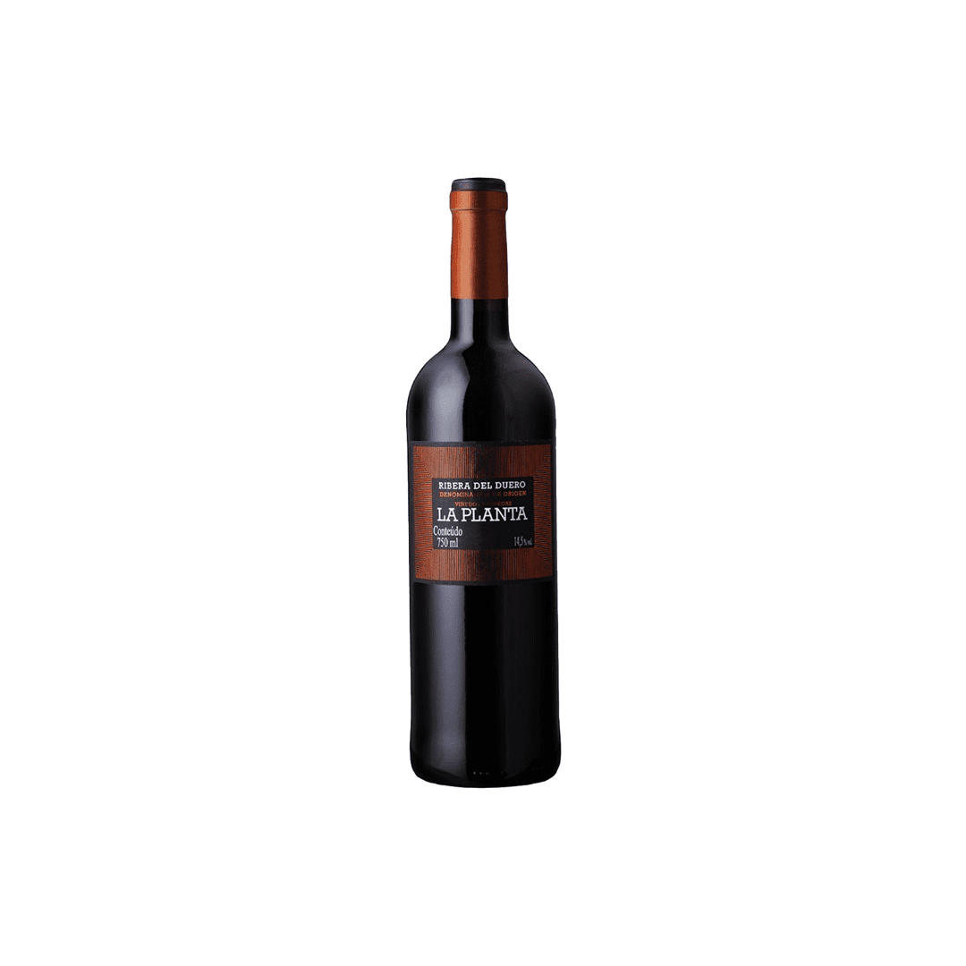 ARZUAGA RIBERA DEL DUERO LA PLANTA Ícone Vinhos
