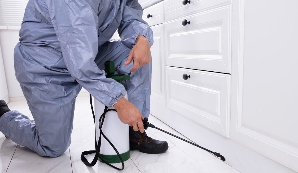 Cockroach Removal Markham Icon Pest Pest & Wildlife Control Services