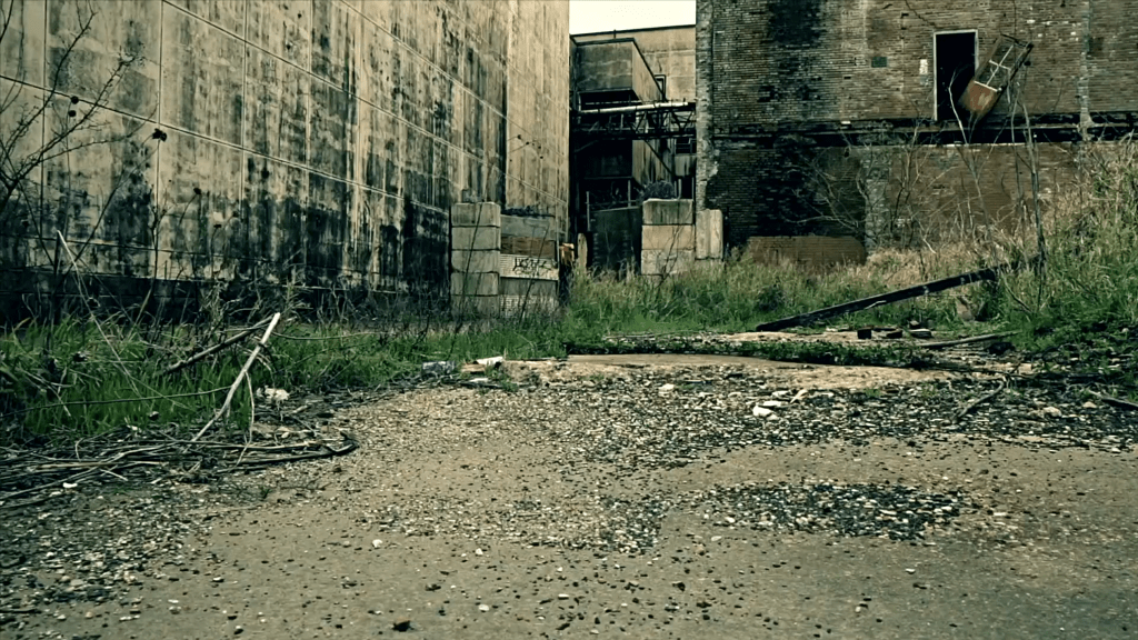 Zombie Science Icons of Evolution